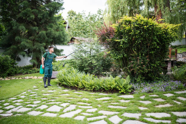 Professional Pest Control in Albany, NY
