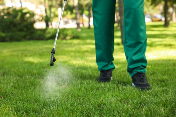 Flea Control Services in Albany, NY