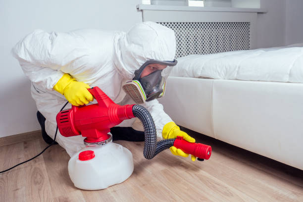 Best Pest Removal Services  in Alba, NY