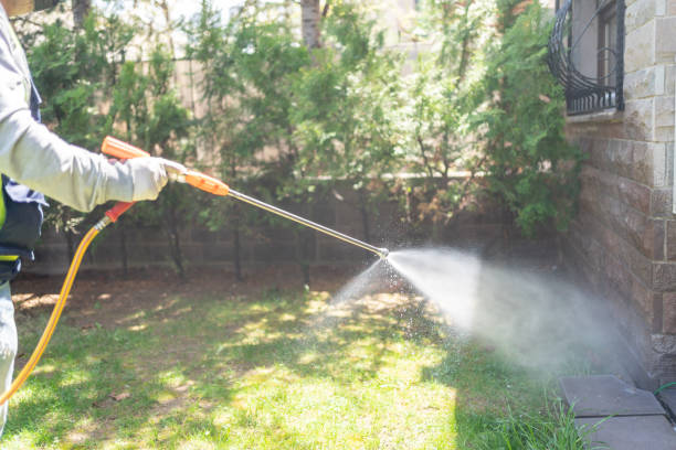 Pest Prevention Services in Albany, NY