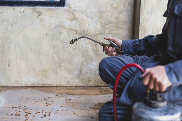 Best Pest Control Treatment  in Alba, NY